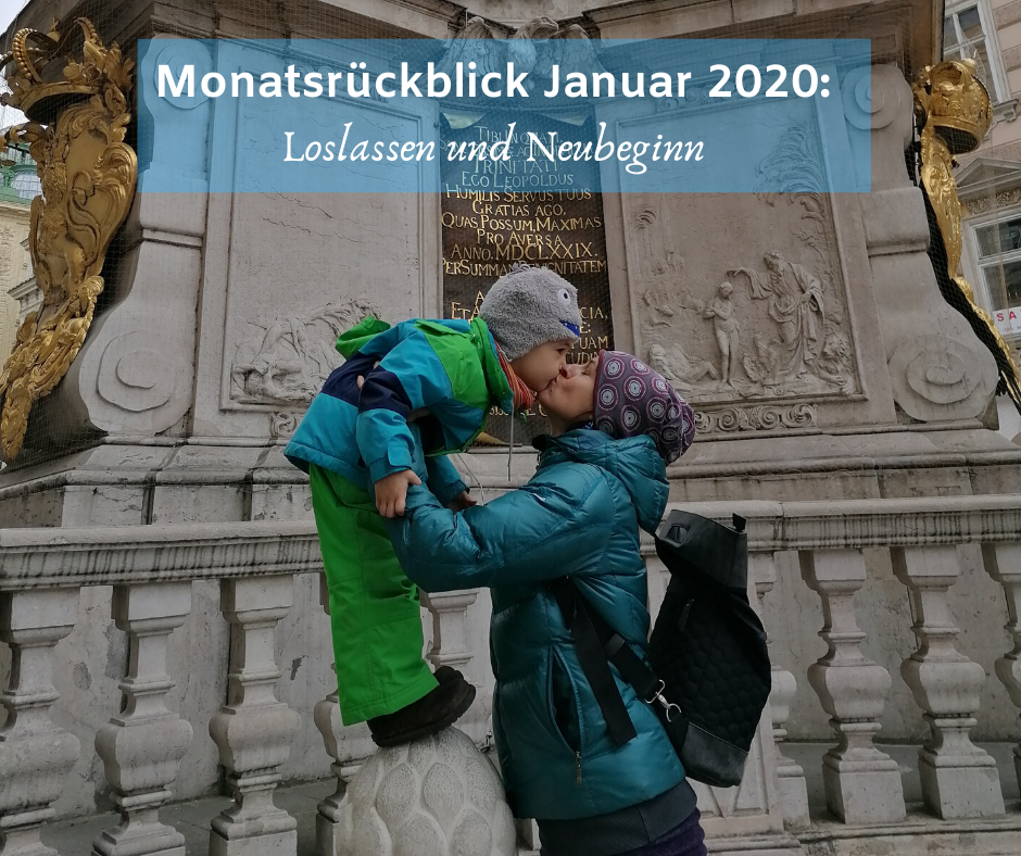 Monatsrückblick Januar 2020neu_ Monatsrückblick Januar 2020neu_